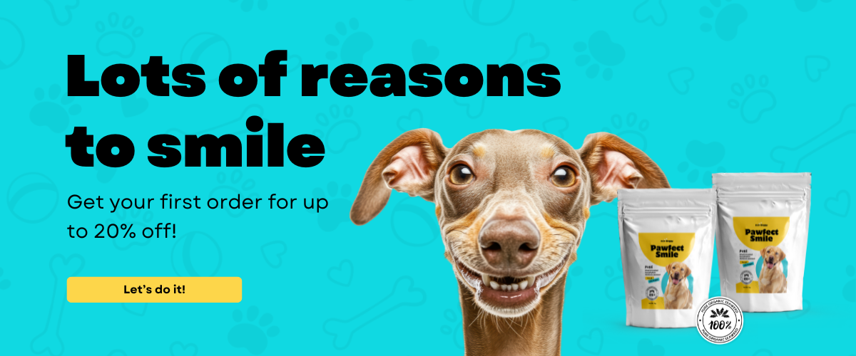 Natural Ways to Improve Dog Dental Health (2)